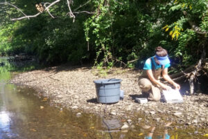 Oyster Creek and Barnegat Bay Environmental Sampling